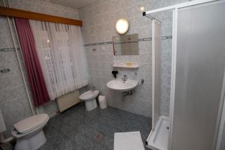 Guesthouse Špenko - 2