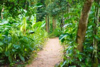 Kibale Forest Camp by NATURE LODGES LTD - Kyenjojo - 1