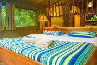 Kibale Forest Camp by NATURE LODGES LTD - Kyenjojo - 0