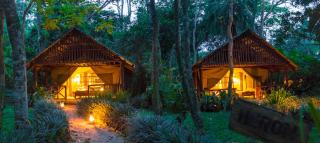 Kibale Forest Camp by NATURE LODGES LTD - Kyenjojo - 3