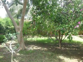 Agence Adjana Resort - Saly Portudal - 2