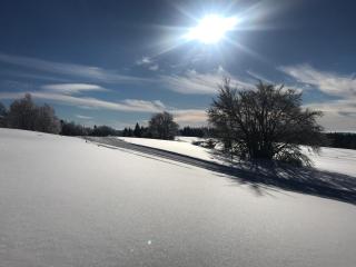 Chez Jeanmyvonne - La Bresse - 4