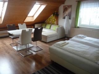 Pension Pugner - Vysoké nad Jizerou - 1