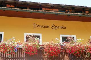 Guesthouse Špenko - 1