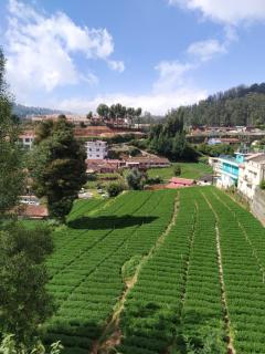A Ooty Honey Huts - Ooty - 3