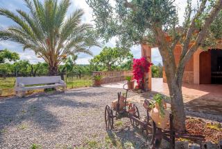 Finca Caseta Son Morro - Can Picafort - 3