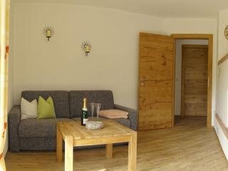 Ferienwohnung Bergblick - Filzmoos - 1