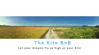 The Kite - Città di Taitung - 0
