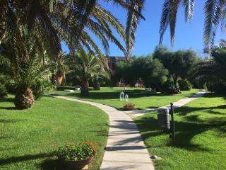 Cala Rosa Club Hotel - Stintino - 0