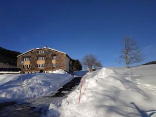 Les Chamois du Jura à Lajoux - 2
