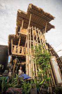 Jungle in the City - Kerobokan - 0