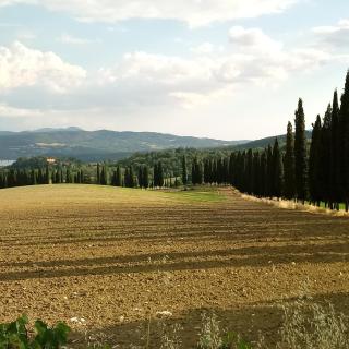 Il Marrondindo Bed & Breakfast - Galliano - 4