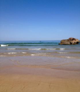 Résidence papillon bleu - Tamraght Ouzdar - 4