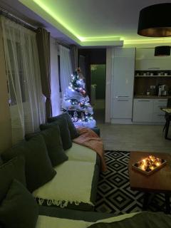 Aria lux apartmani - Vrdnik - 2