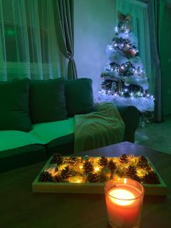 Aria lux apartmani - Vrdnik - 3