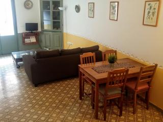 Apartamentos Saltarel·lo - Besalú - 6