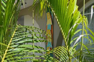 Bananas Apartments Adults Only - Palm-Eagle Beach - 6
