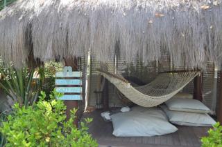 Bananas Apartments Adults Only - Palm-Eagle Beach - 4