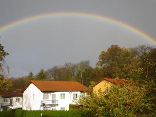 Ferienwohnungen Stranddistel - Apartments von 30 bis 75 qm - Zinnowitz - 6