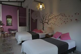 Posada Las Bromelias - 1