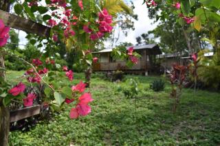 Hidden Haven - Unitedville - 6
