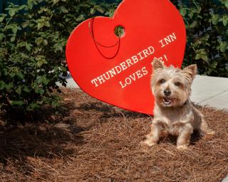 The Thunderbird Inn - 2