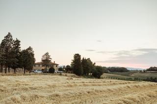 Perelli Winery - Bucine - 4