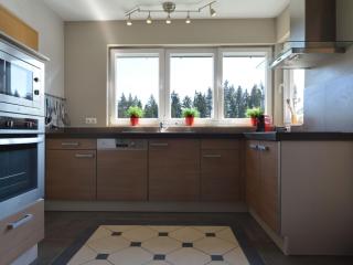 Luxury apartment with sauna over a lake - Robertville - 8