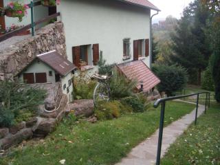 Au Bon Logis - Thannenkirch - 9