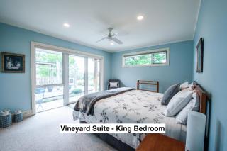 Grey Ridge Vineyard Experience - Alexandra - 9