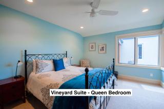 Grey Ridge Vineyard Experience - Alexandra - 5