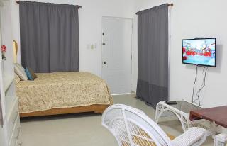 Fully Equipped 1br Studio –dt–2mins To The Beach - Sosúa - 8