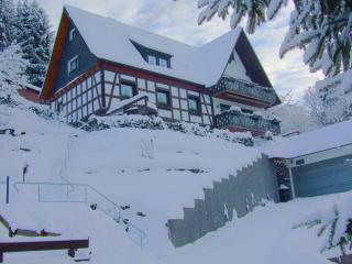 Cozy Apartment in Hallenberg with Terrace - Hallenberg - 7
