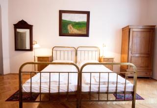 Hotel U Zlateho jelena - Prag - 4