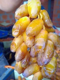 Résidence Loued - 8