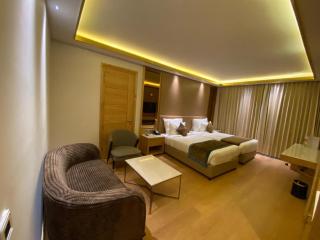 NIRVANA Luxury Hotel l Ludhiana - Ludhiana - 3