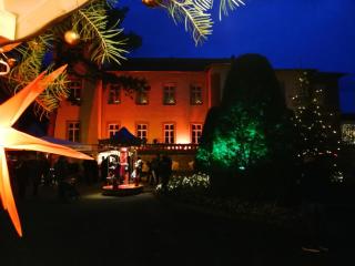 Parkhotel Bad Schandau mit SPA - Bad Schandau - 2