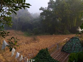 ต้งโฮมสเตย์ กลางทุ่งนา Local Homestay and View - 6