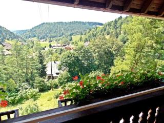 Holiday home in the Black Forest with terrace - Todtmoos - 6