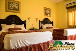 Hotel Plaza Palmero - 7