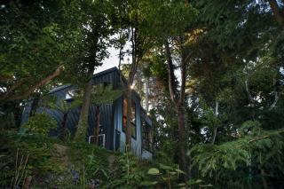 L'amour Nest - Napier - 7