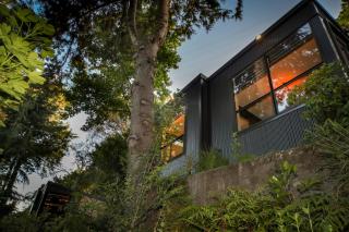 L'amour Nest - Napier - 6