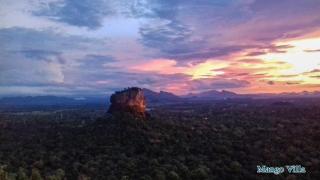 Mango Villa Sigiriya - 8