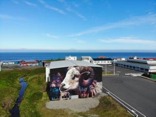 Gotuhus - Ocean View Apartment - Hellissandur - 2