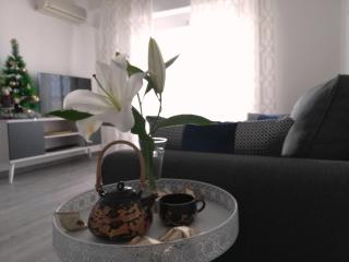 Beachfront modern and spacious apartment - 1