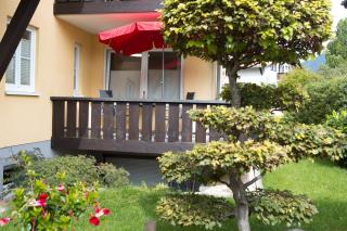 Steinbock - Oberstdorf - 2