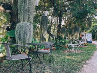 Anchan Laguna Hotel โรงแรมอัญชันลากูน่า - Khon Kaen - 7