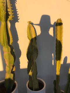 Riad Aïcha Kitchen - 4