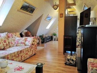 Apartament Hawrań Murzasichle Apartamenty Murzasichle PL - Murzasichle - 1