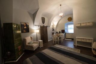 Ultra central medieval apartment - Cluj-Napoca - 9